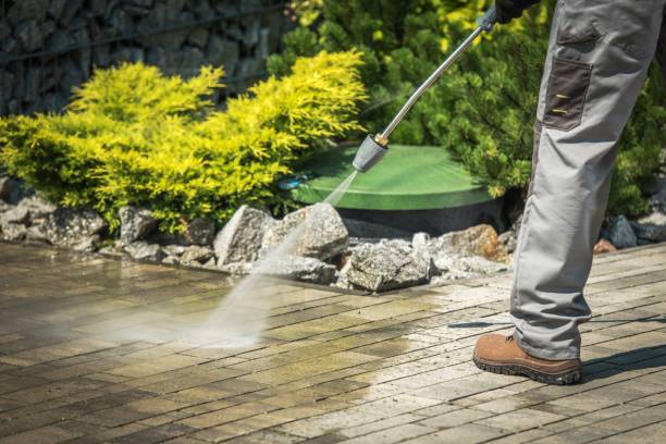 Best Animal Enclosure Cleaning  in San Antonio Heights, CA