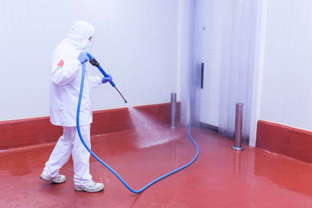 Best Solar Panel Cleaning  in San Antonio Heights, CA